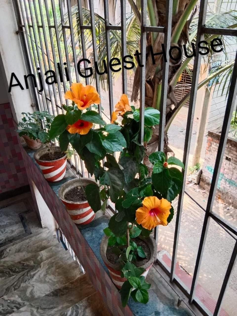 Anjali Guest House Digha  Exteriér fotografie